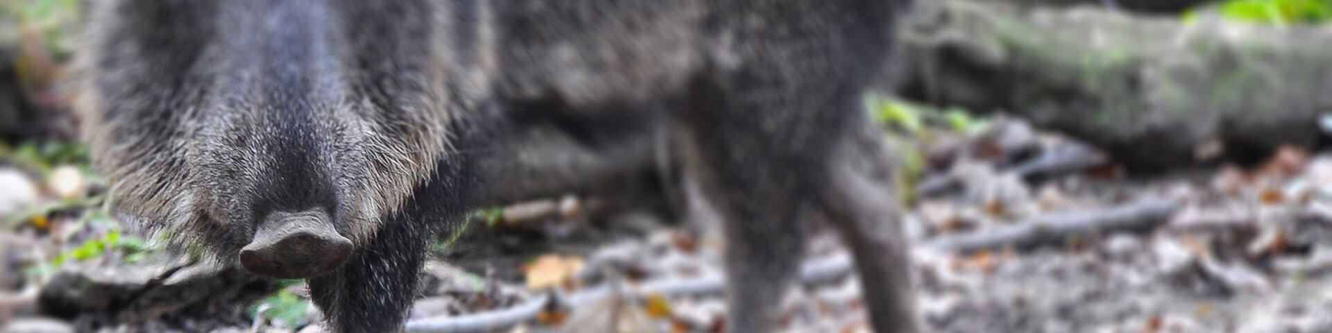 &nbsp;